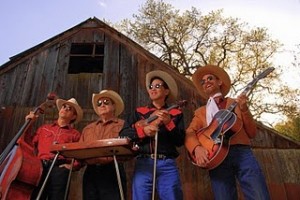The_Saddle_Cats